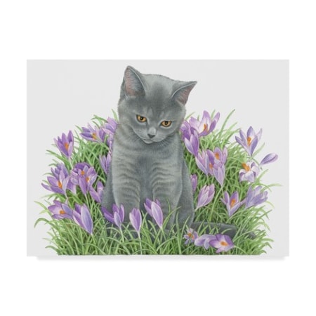 Francien Van Westering 'Gray Cat In Flowers' Canvas Art,14x19